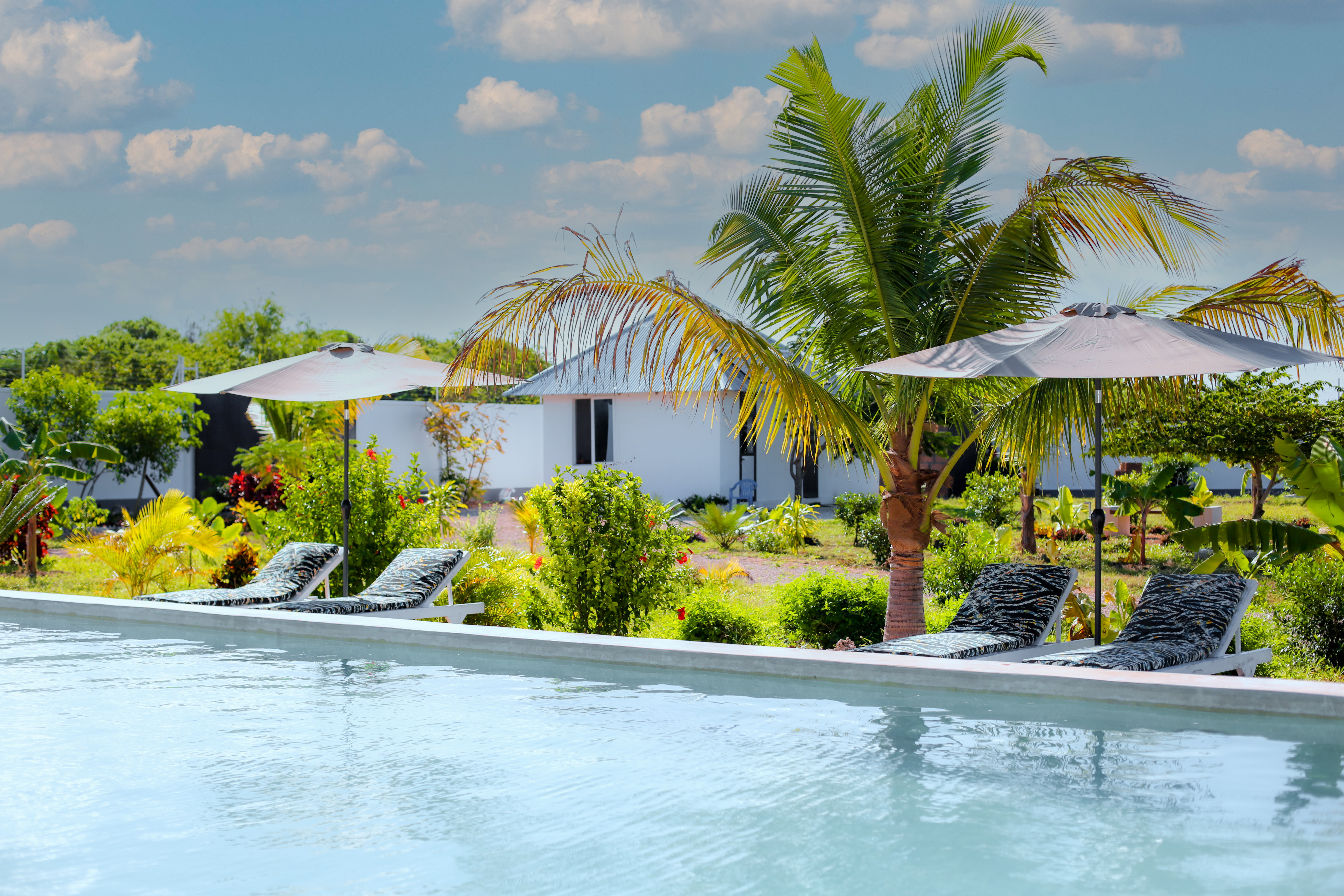 Mus Home Zanzibar – Private 4,000sqm Sanctuary with Pool in Michamvi⁠