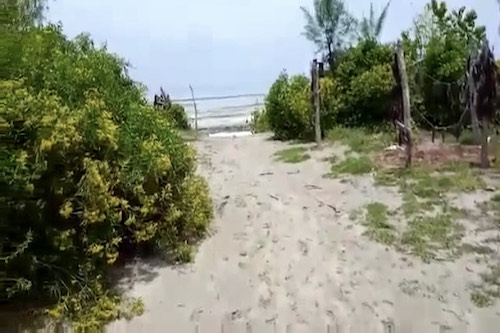 Properties for sale in Pemba, Zanzibar