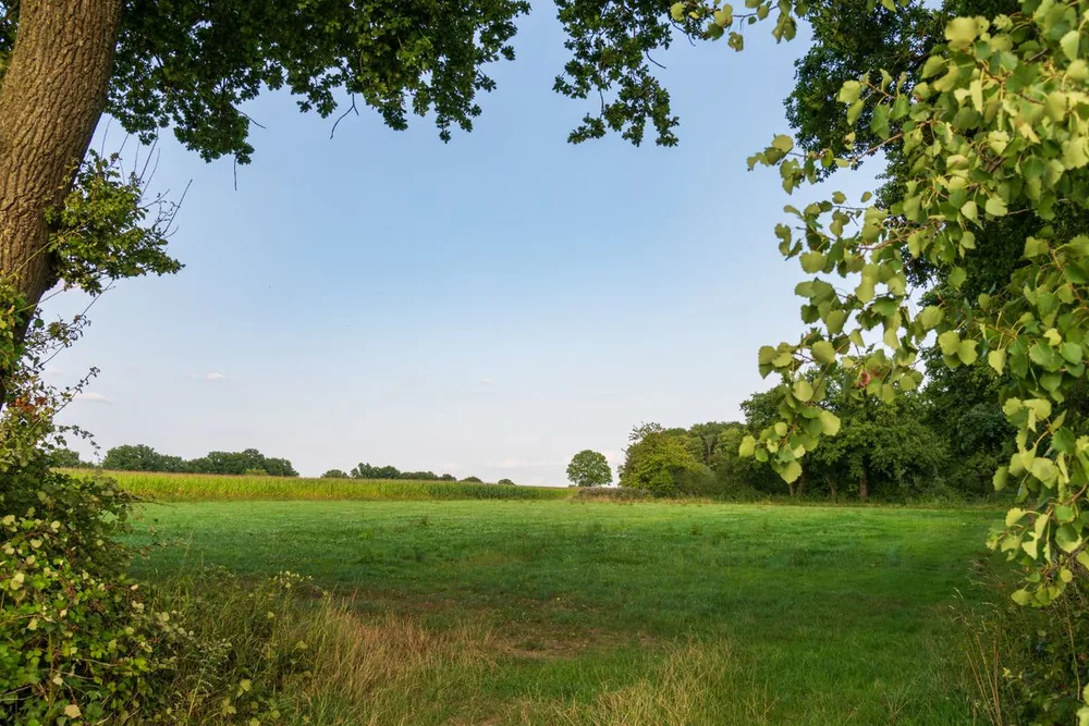 What to Know Before Buying Land in Canton: A Buyer's Checklist