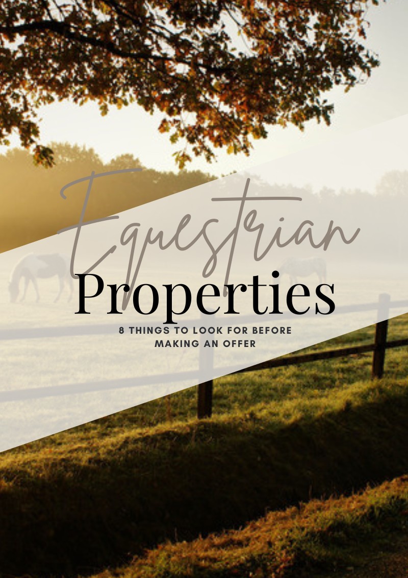 A Complete Guide to Buying Equestrian Properties