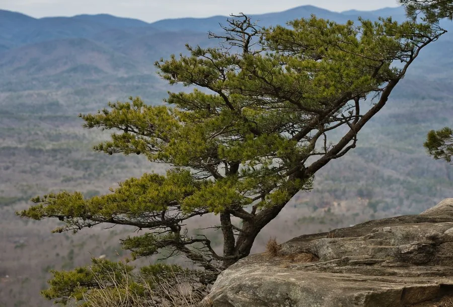 The Best Day Trips from Canton, GA