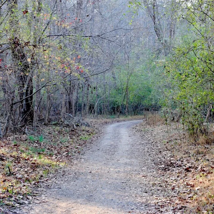 The Best Hikes In & Near Canton, GA