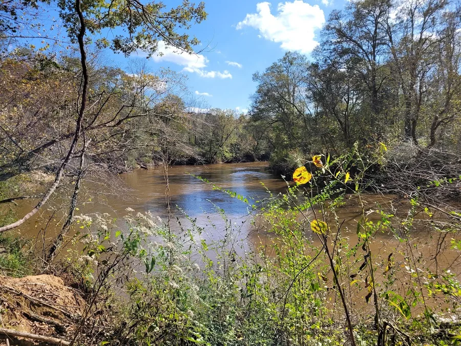 Canton, GA's Best-Kept Secrets
