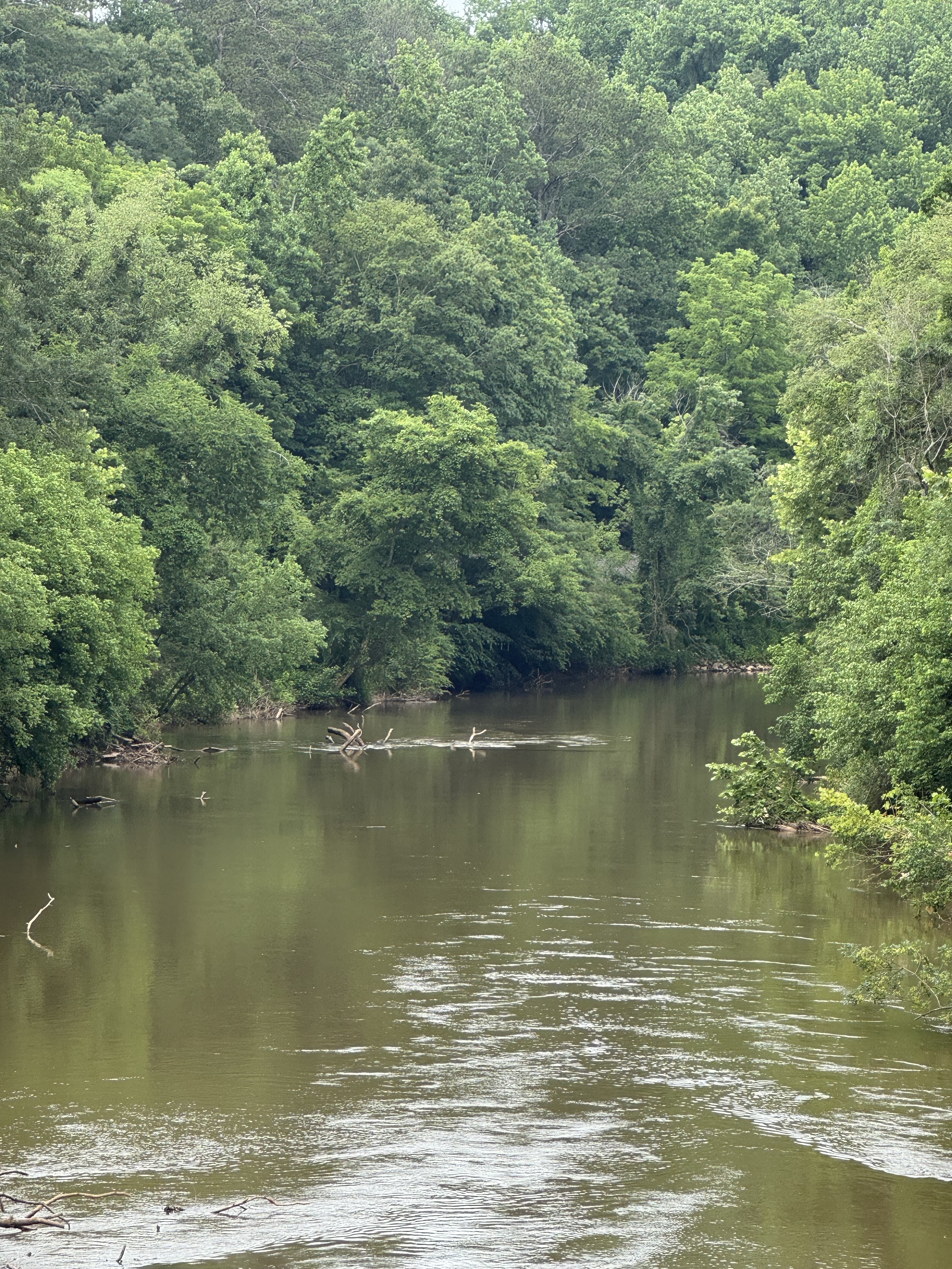 Why Etowah River Park Is a Canton Treasure Worth Exploring