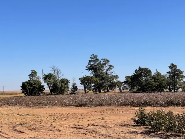 Photo 5 — Fm 211, Tahoka, TX 79373