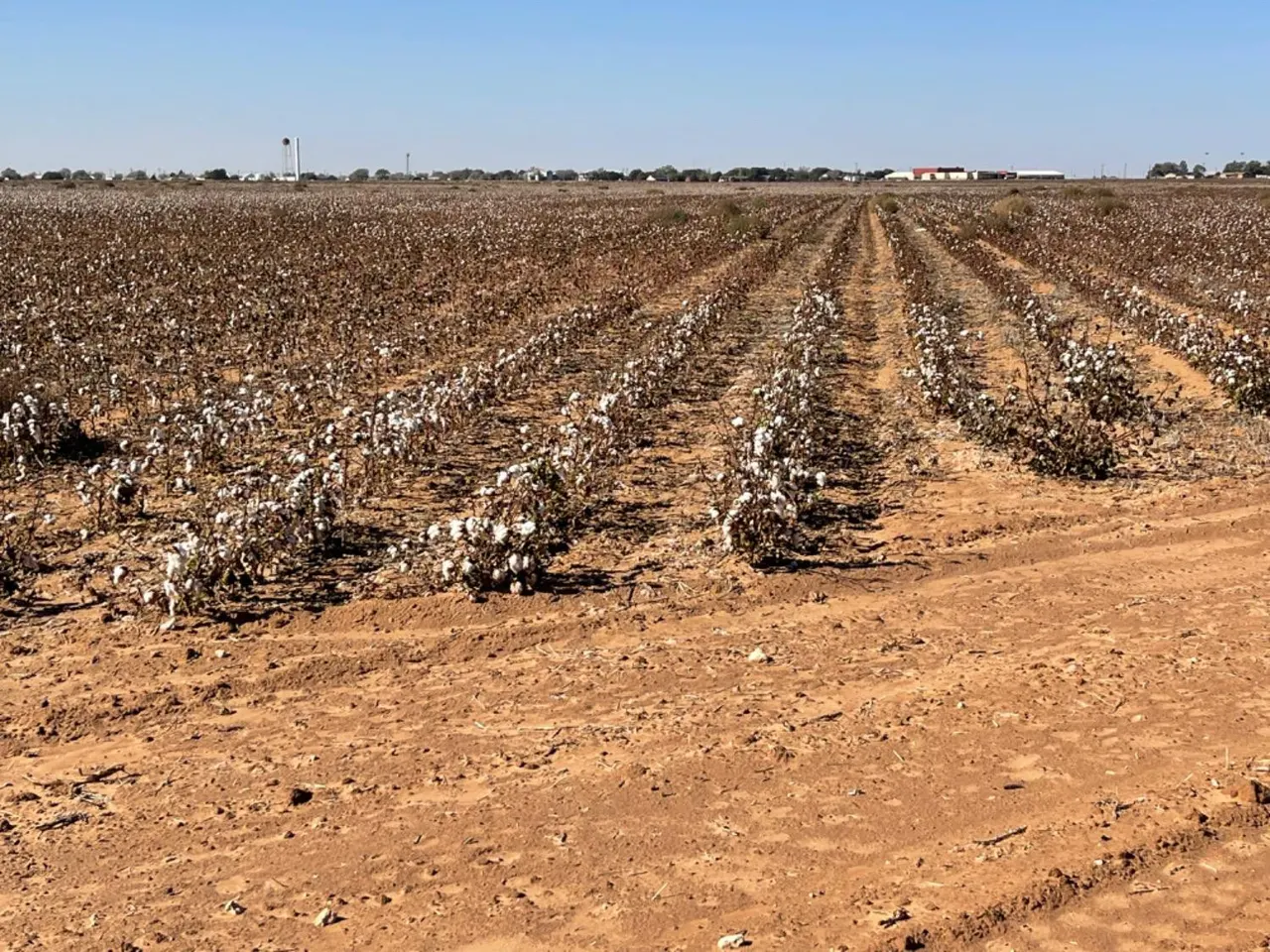 Photo 6 — Fm 211, Tahoka, TX 79373