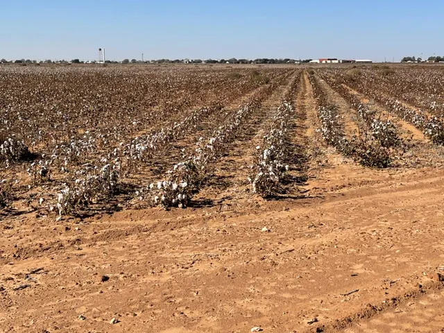 Photo 6 — Fm 211, Tahoka, TX 79373