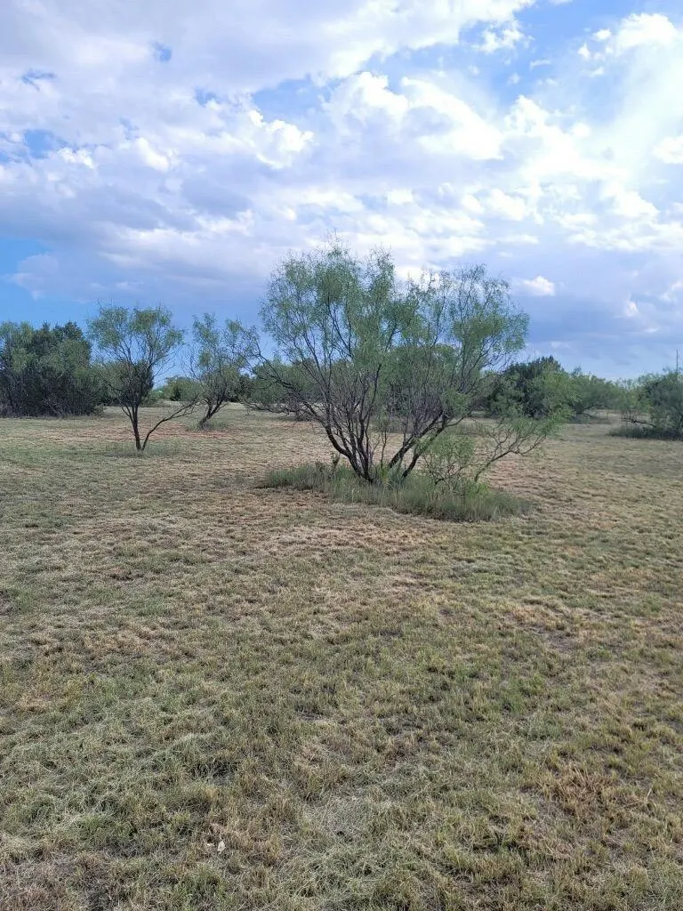 Photo 10 — 314 Prairie Point, Canyon, TX 79015