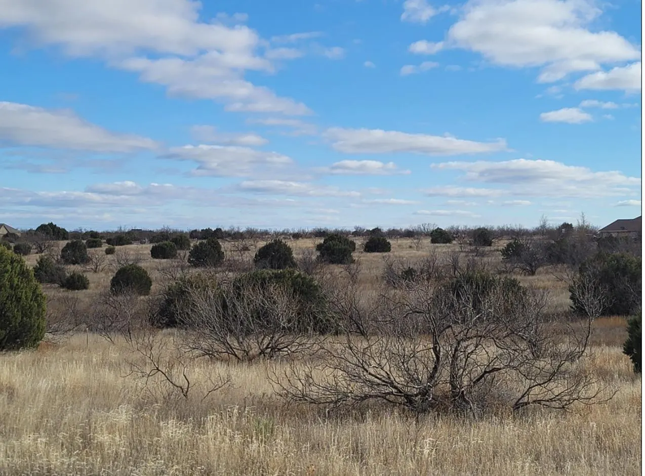 Photo 11 — 314 Prairie Point, Canyon, TX 79015