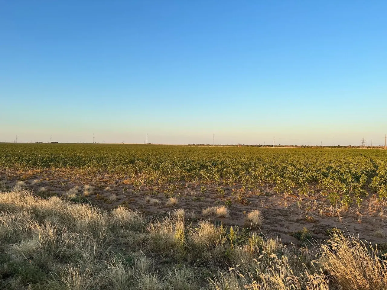Front exterior — 3 E County Road 5400, Lubbock, TX 79403