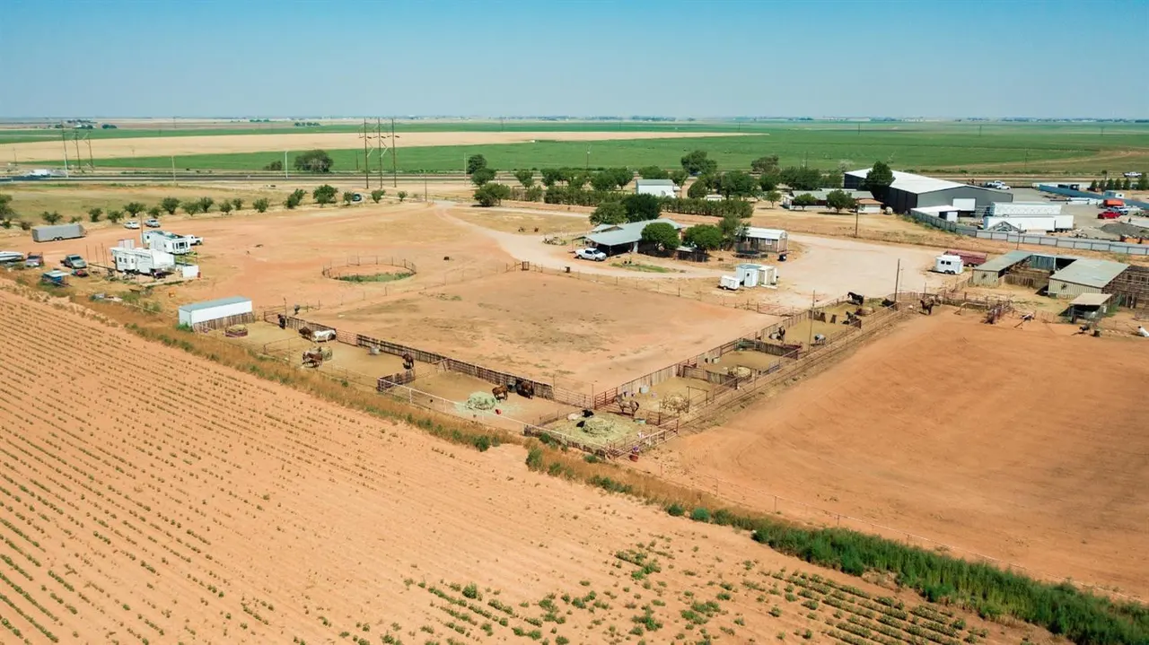 Photo 13 — 10025 County Road 7300, Wolfforth, TX 79382