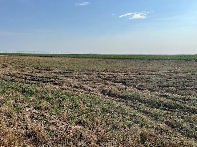 Photo 6 — 13403 N FM 400, Idalou, TX 79329