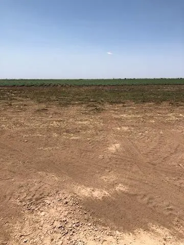Photo 17 — 13403 N FM 400, Idalou, TX 79329