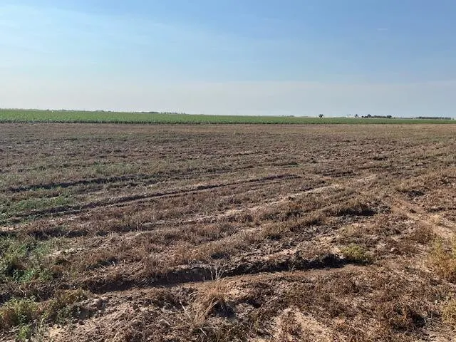 Photo 5 — 13405 N FM 400, Idalou, TX 79329