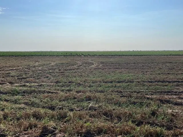 Photo 6 — 13405 N FM 400, Idalou, TX 79329