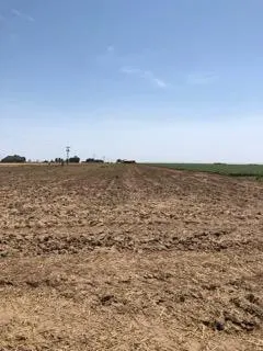 Photo 16 — 13405 N FM 400, Idalou, TX 79329