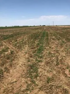 Photo 20 — 13405 N FM 400, Idalou, TX 79329