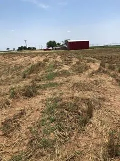 Photo 21 — 13405 N FM 400, Idalou, TX 79329