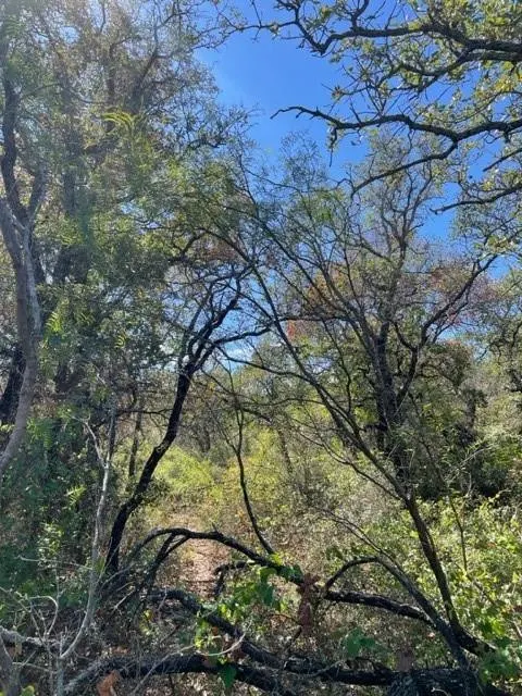 Photo 5 — 0 County Road 136, Breckenridge, TX 76424