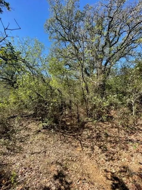 Photo 2 — 0 County Road 136, Breckenridge, TX 76424