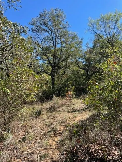 Photo 6 — 0 County Road 136, Breckenridge, TX 76424