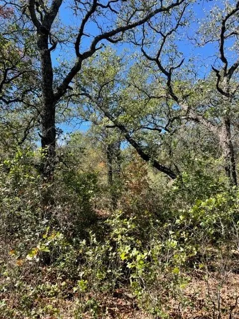 Photo 7 — 0 County Road 136, Breckenridge, TX 76424
