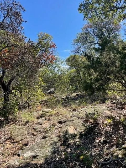 Photo 10 — 0 County Road 136, Breckenridge, TX 76424