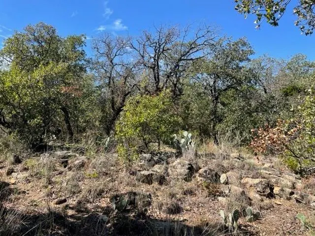 Photo 12 — 0 County Road 136, Breckenridge, TX 76424