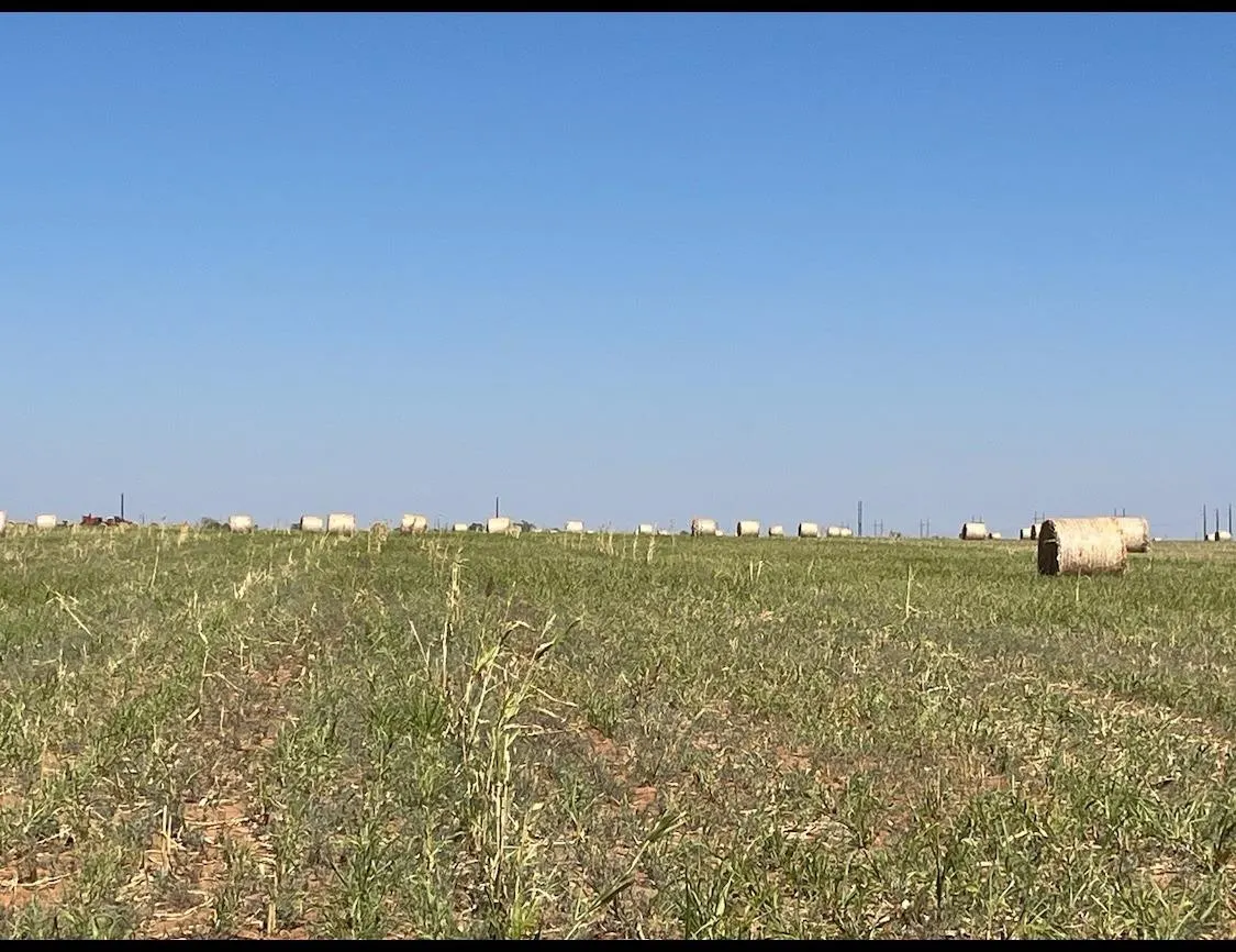 Front exterior — 0 County Road 5350, Lubbock, TX 79415
