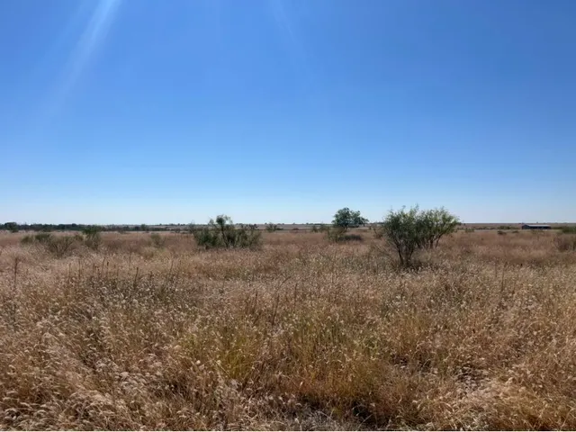 Photo 3 — 0 County Road 5350, Lubbock, TX 79415