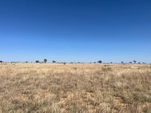 Photo 5 — 0 County Road 5350, Lubbock, TX 79415