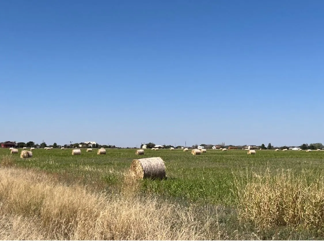 Photo 2 — 0 County Road 5350, Lubbock, TX 79415