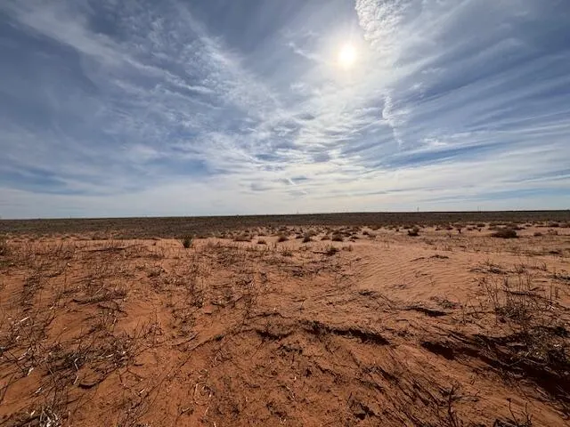 Photo 3 — County Road 225, Plains, TX 79355