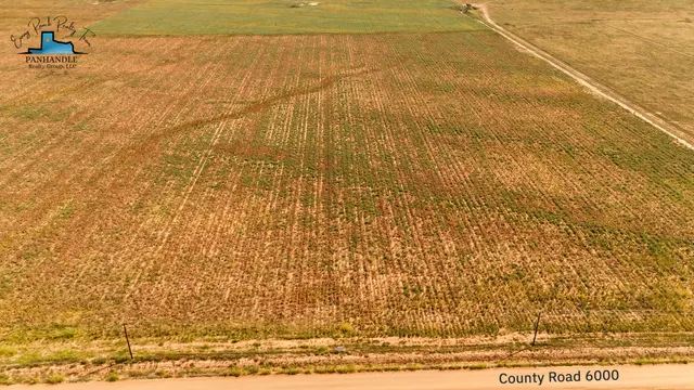 Photo 2 — County Road 6000 County Road 1200, Shallowater, TX 79363