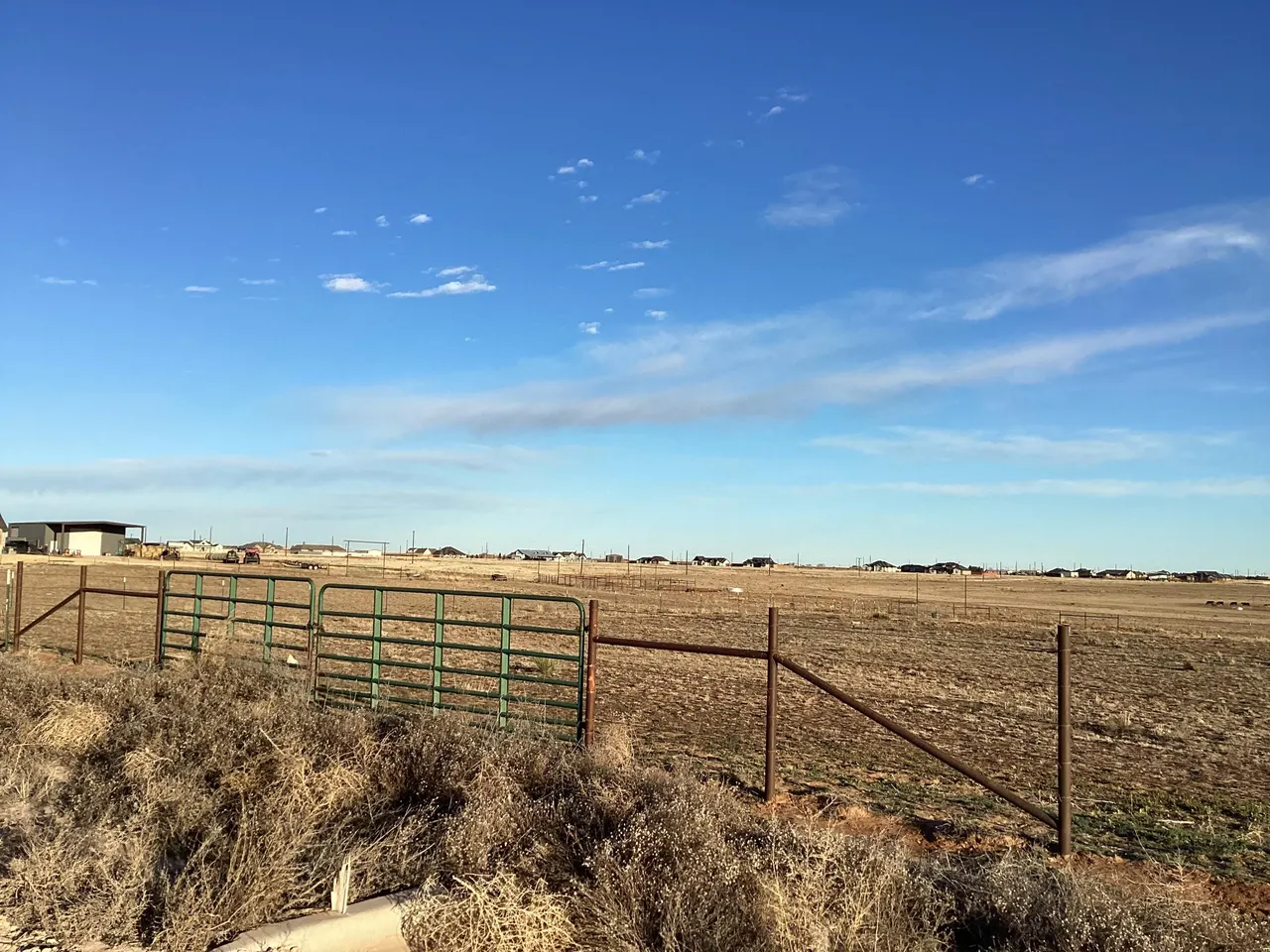 Photo 2 — Steer Road, Ropesville, TX 79358