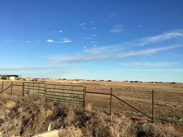 Photo 2 — Steer Road, Ropesville, TX 79358