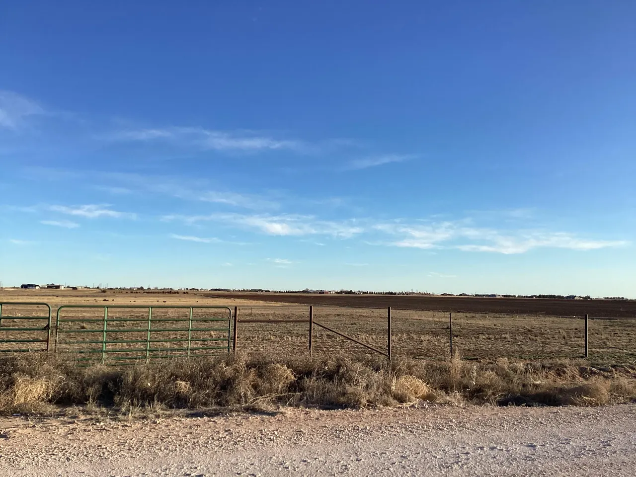 Front exterior — Steer Road, Ropesville, TX 79358