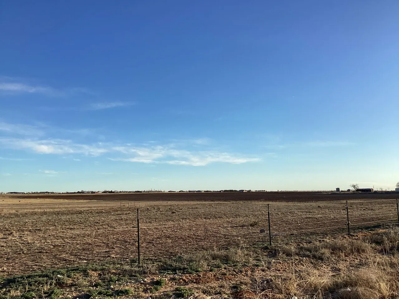 Photo 4 — Steer Road, Ropesville, TX 79358