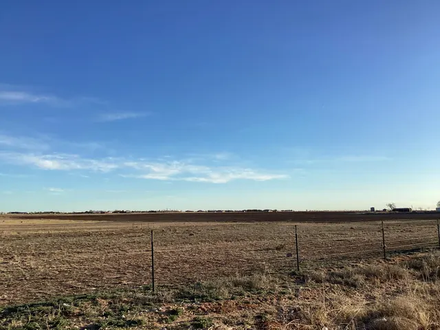 Photo 4 — Steer Road, Ropesville, TX 79358
