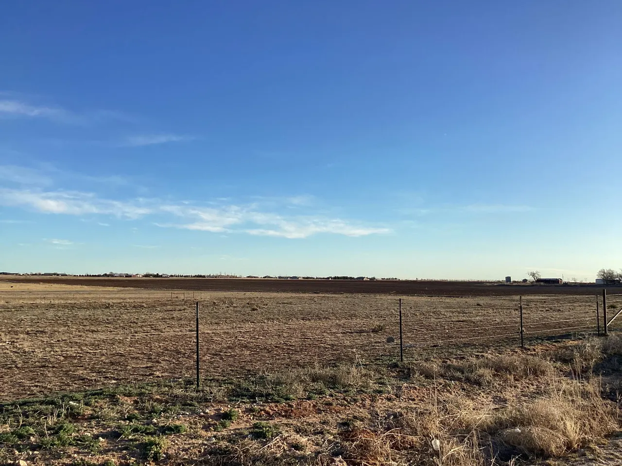 Photo 5 — Steer Road, Ropesville, TX 79358