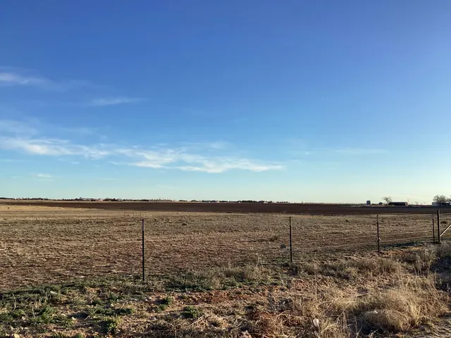 Photo 5 — Steer Road, Ropesville, TX 79358