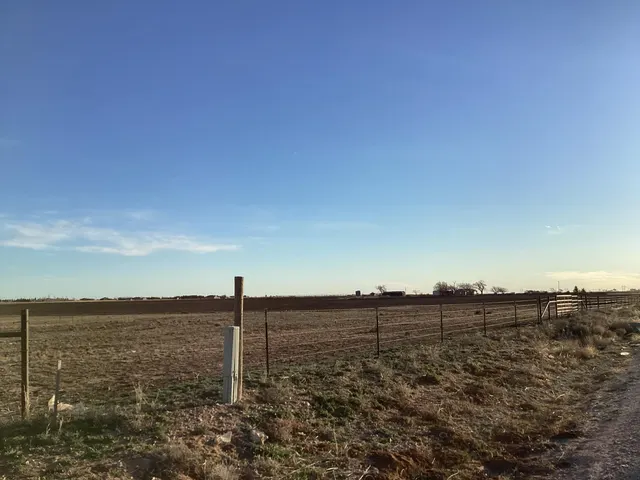Photo 6 — Steer Road, Ropesville, TX 79358