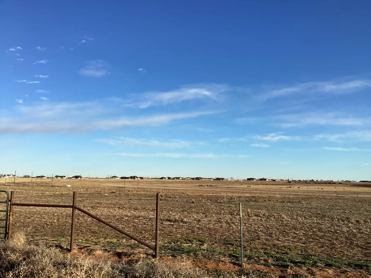 Photo 3 — Steer Road, Ropesville, TX 79358