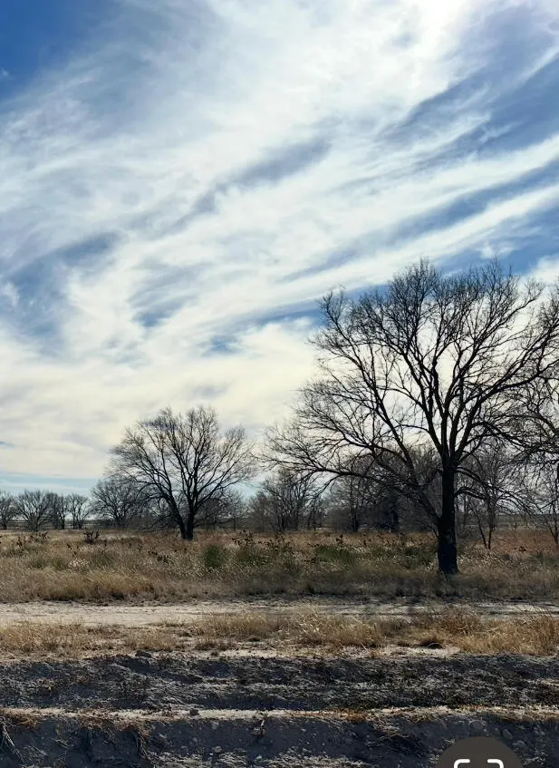 Front exterior — County road 1043, Muleshoe, TX 79347