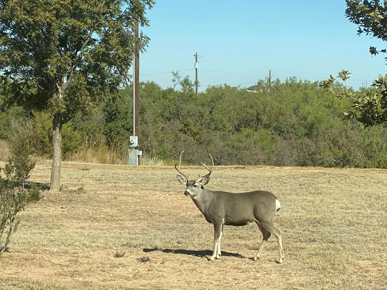 Photo 4 — 61-63 Ward Road, Justiceburg, TX 79330