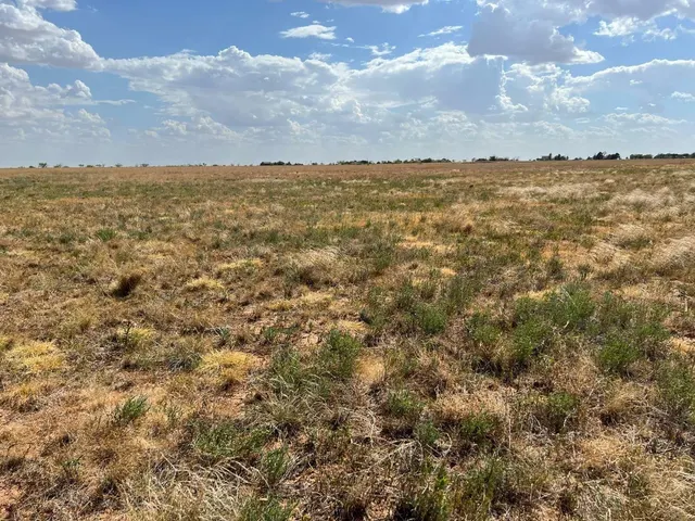 Photo 2 — 4111 County Road 5300, Abernathy, TX 79311