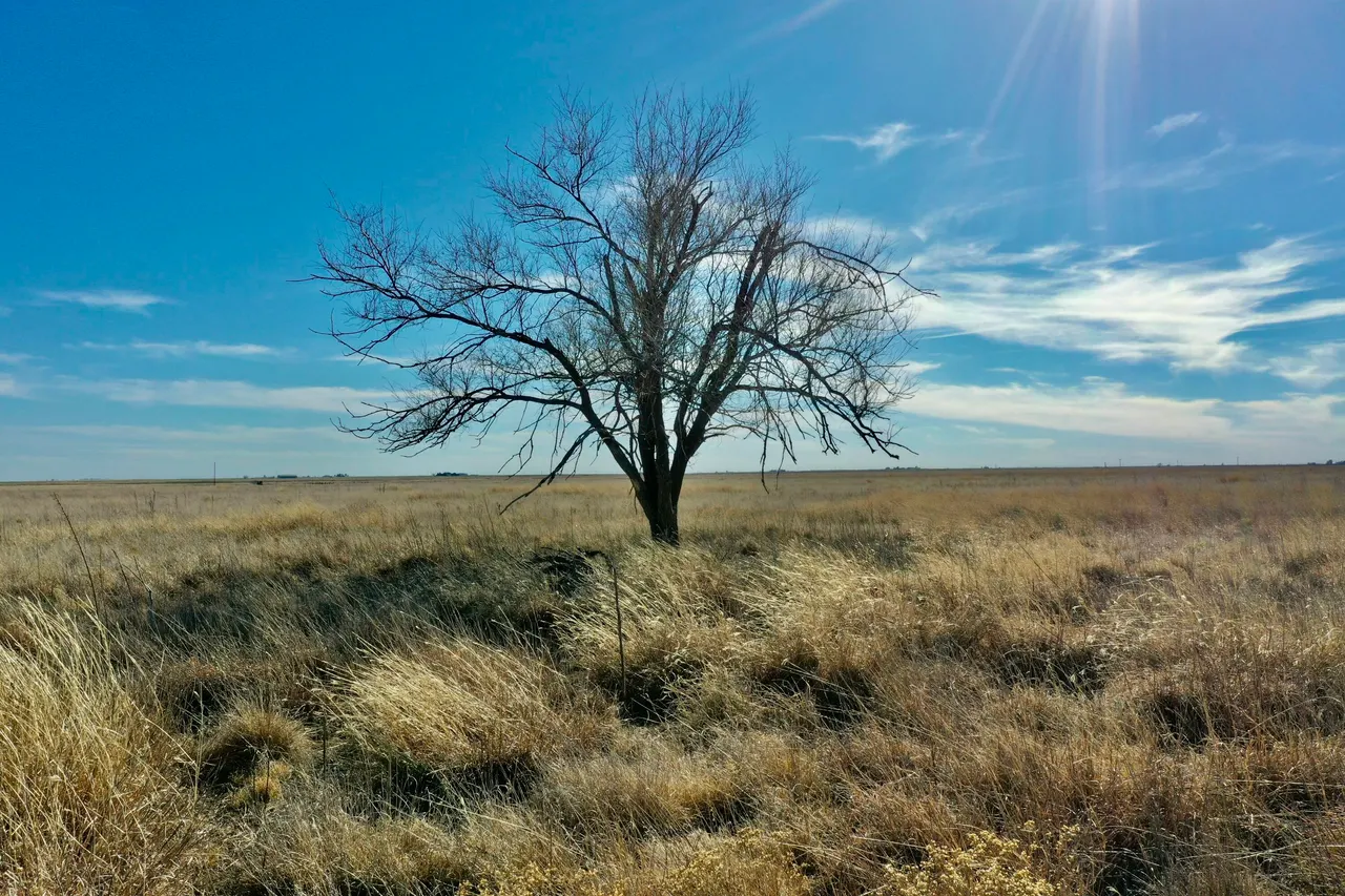Photo 6 — Co Rd 72, Lockney, TX 79241