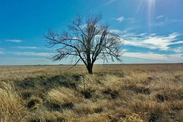 Photo 6 — Co Rd 72, Lockney, TX 79241