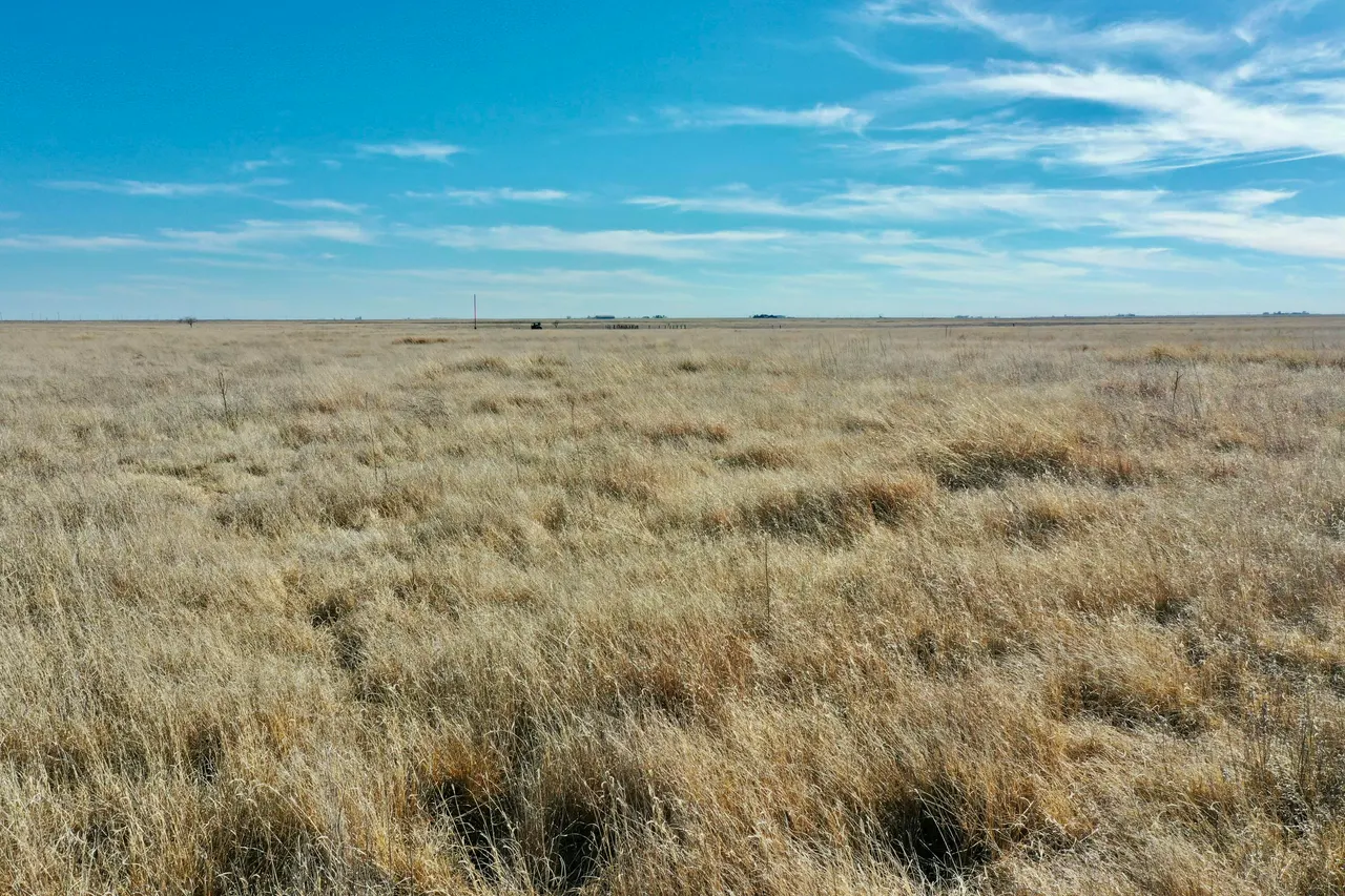 Photo 7 — Co Rd 72, Lockney, TX 79241