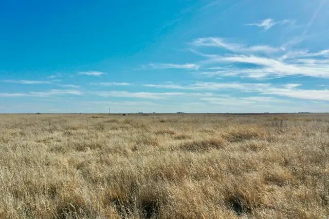 Photo 8 — Co Rd 72, Lockney, TX 79241